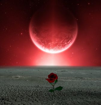 All'angolo di una strada  