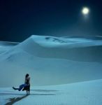 Dove un fiore ha lasciato il sorriso