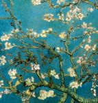 Perch� ho gi� visto  