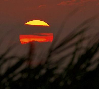 Tra le foglie dorate