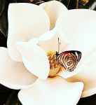 Forse � finita l'estate