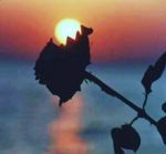 Forse � solo un momento