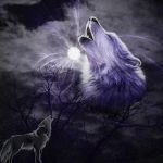 Il richiamo del lupo