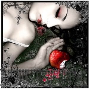 Che meraviglioso sogno