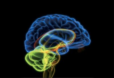 Groviglio di pensieri