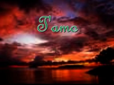 T'Amo  