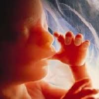 Breve passaggio di un sorriso