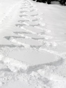 Un bacio scivolato sulla neve