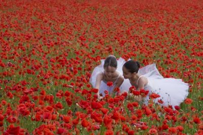 Il linguaggio dei corpi