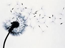 Riaffiora un ricordo