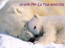 L'immensit� in poche parole