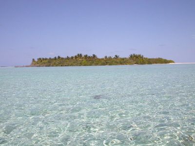 Dove non è finta la realtà