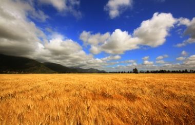 Riempiti vuoti di memorie