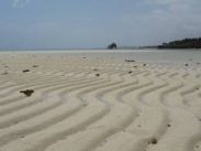 Tra le righe del silenzio