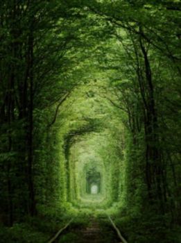 Un treno che non scegli