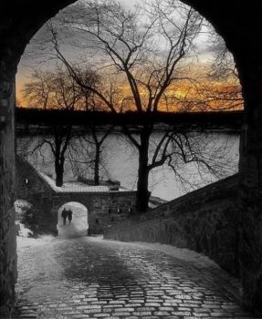 Metamorfosi del tempo