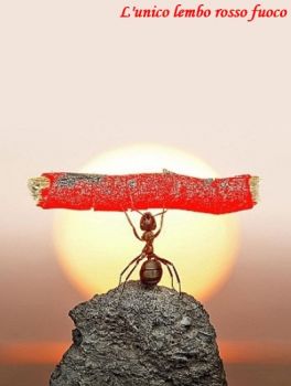 L’unico lembo rosso fuoco