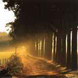 Io continuer� ansimando