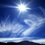 Fotosintesi dell'amore