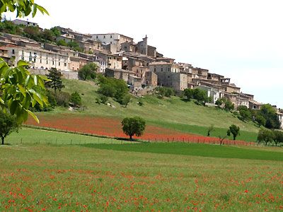 Campanili e papaveri
