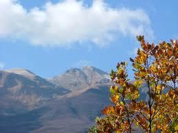 D�autunno si fregia