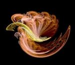 Canto... sento... vibro