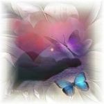 Scivola indifferente