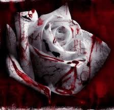 L'altra met� del cielo