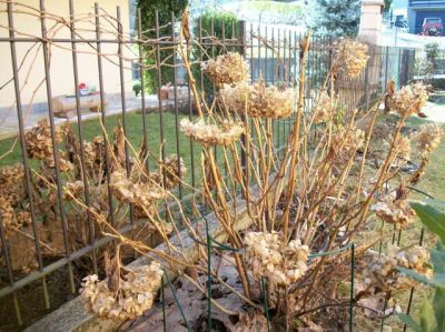 Sfiorito � il tempo