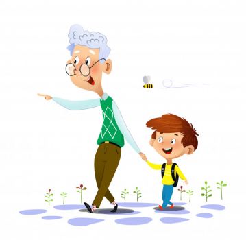 Un sogno nella notte