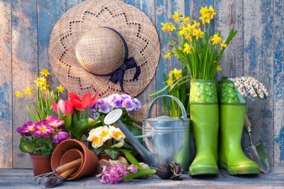 Nell�orto e nel giardino