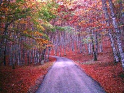 La Corte d'ogni Stagione