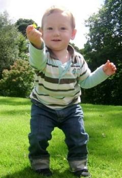 Il Valore d'un Fiore