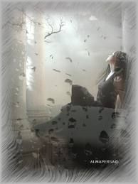 Un tuffo nel presente, un tuffo nel passato