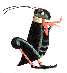 Insetti impertinenti