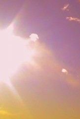 Ti cullo entro un acino di miele