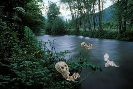 Nella morte della notte  