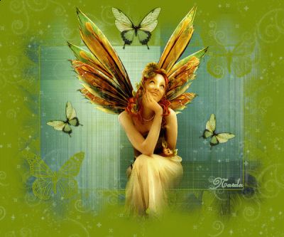 Il collezionista di farfalle  