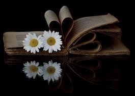 Parole che mai possono essere dette  