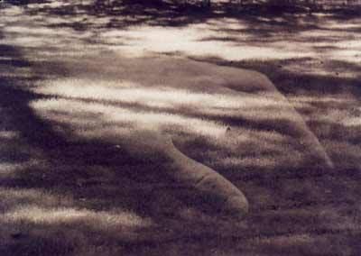 Dove pogger� le mani  