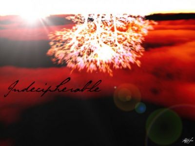 In un deserto, dormo