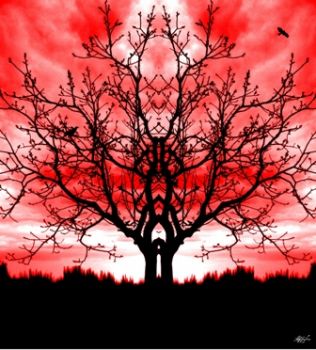 Lo sguardo della notte