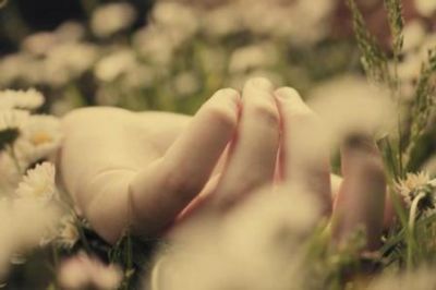 Tra i pensieri e la carne  