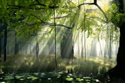 Verit� ad ogni costo