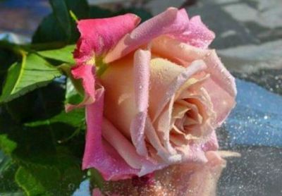 Se ti domandi cosa sia l'amore