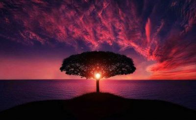 Il tuo corpo � qui