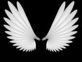 Anche gli angeli piangono