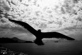 Il nascondiglio del vento