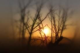 La nuova stagione del cuore