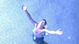 Il volo della farfalla